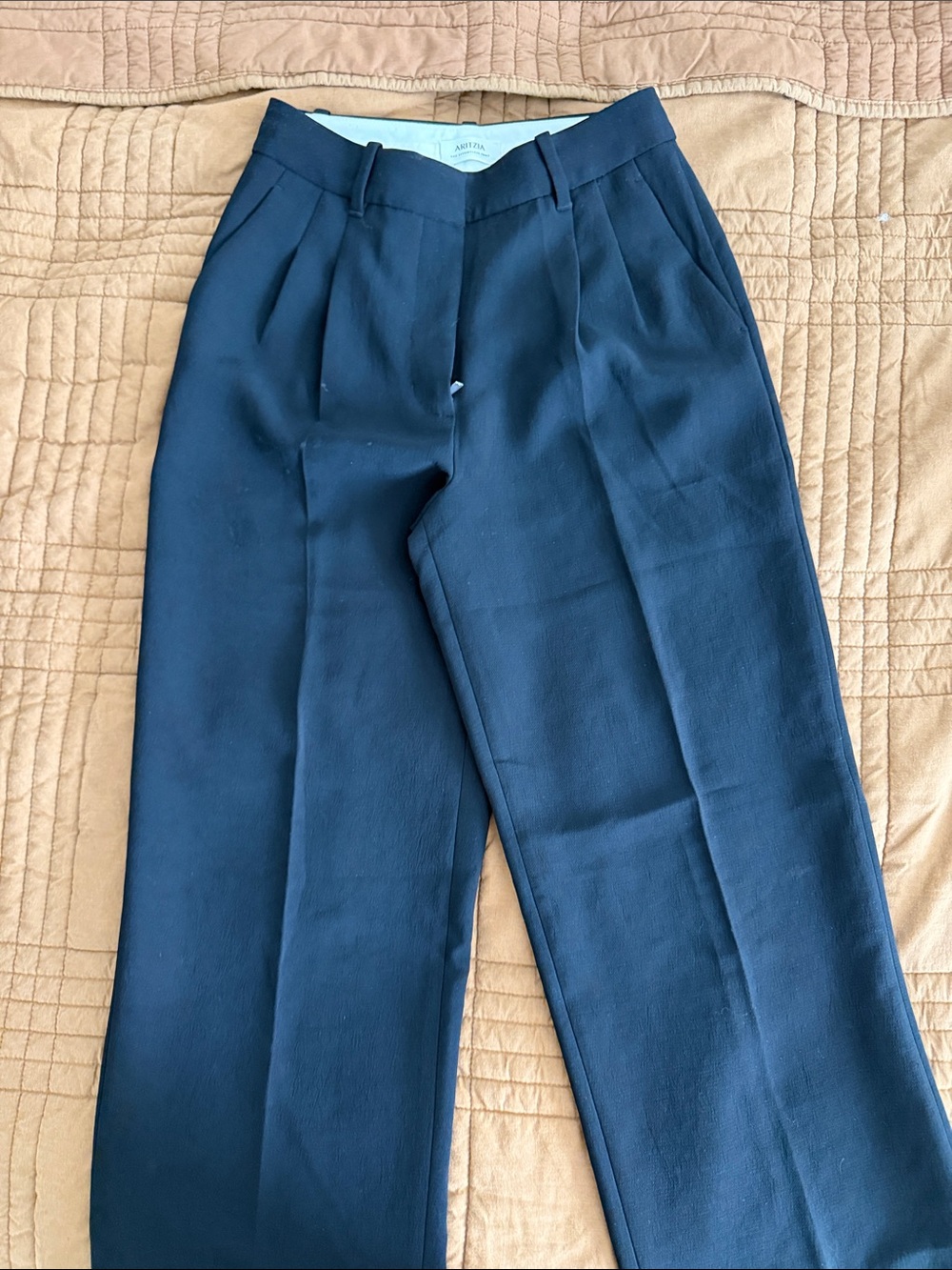 Aritzia Black High-Waist Pleated Wide-Leg Trousers - Size 2